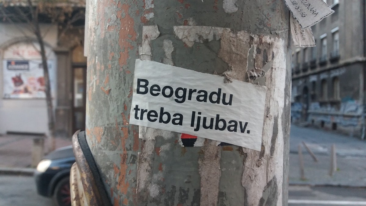 a sticker on a tree in the middle of a street